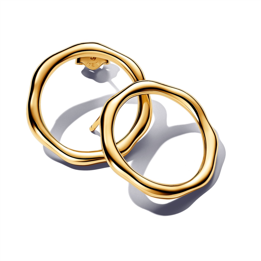 Circle pandora earrings shop