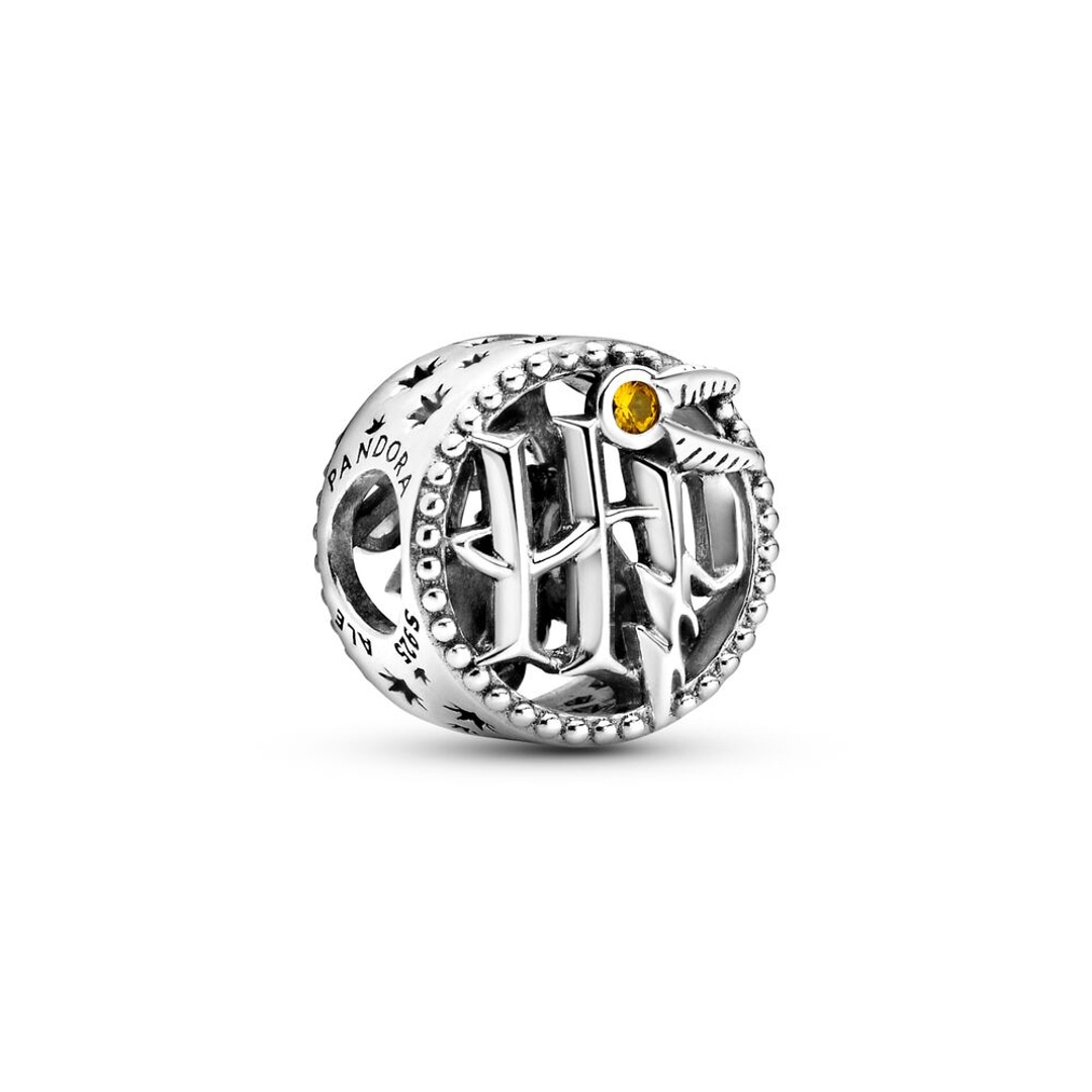 Pandora Moments Charm Harry Potter Ajouré, Icônes d'Harry Potter Bijou  femme 799127C01