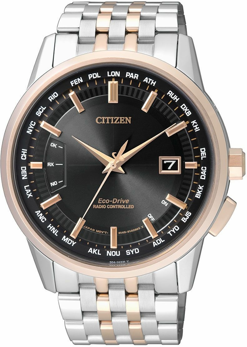 citizen world timer