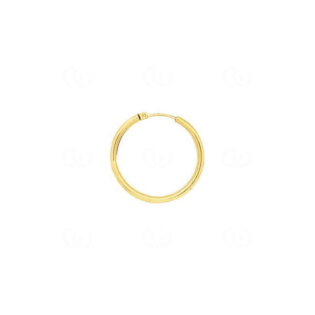 Hoop Earrings 750/18 K Yellow Gold 2mm Ø 24mm - 3115