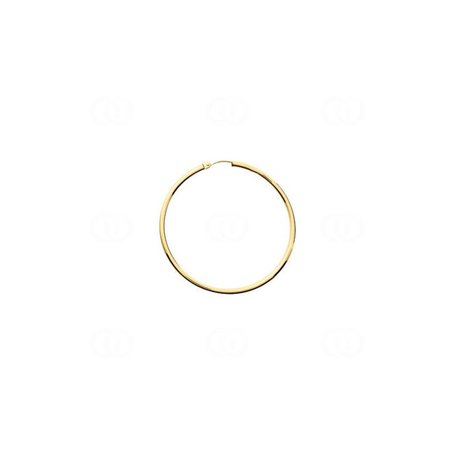 Hoop Earrings 750/18 K Yellow Gold 2mm Ø 40mm - 3152