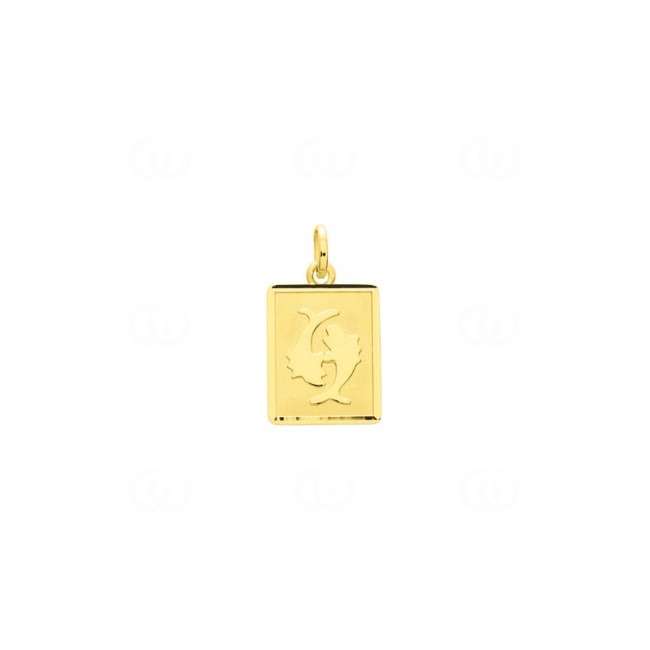 Pendentif or jaune 750/18 ct 12x15mm, Signe du zodiaque Poissons - 73231