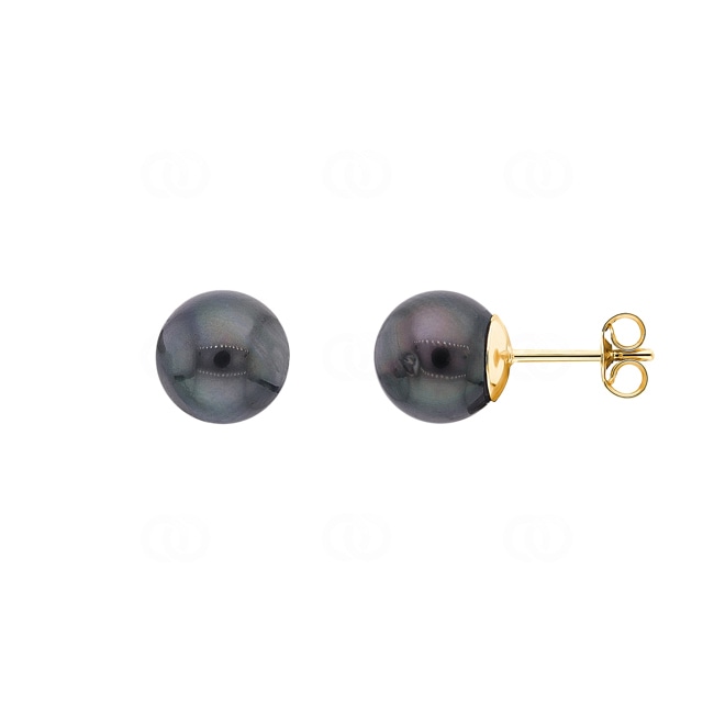 8.0mm Tahitian Pearl Stud Earrings 375/9 K Yellow Gold - 293023.Q0