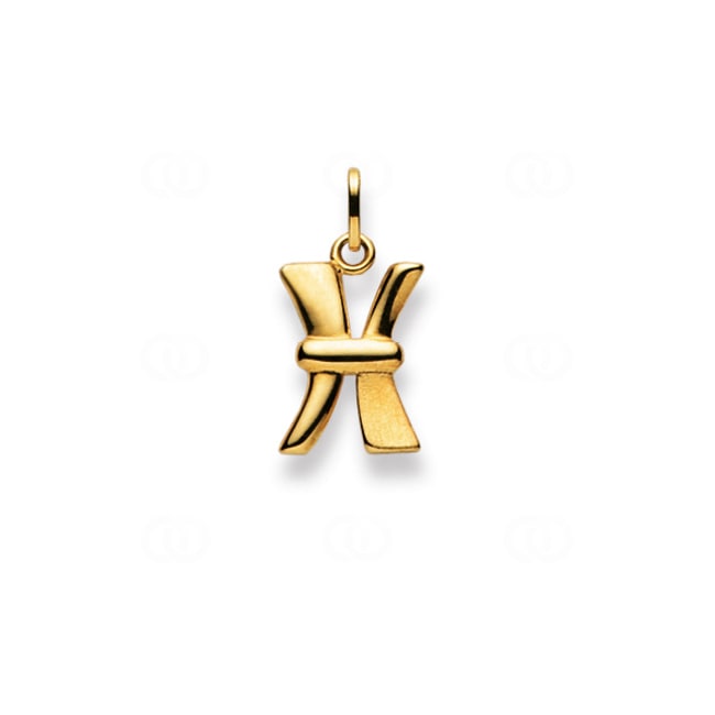 Pendant 750/18 K Yellow Gold Letter X - 1156.07577/0240