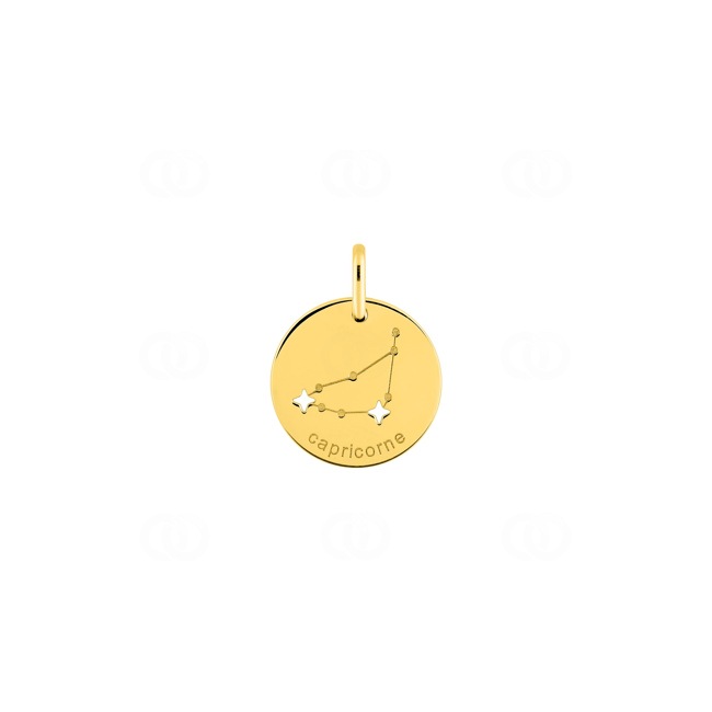Pendentif or jaune 750/18 ct Signe du zodiaque capricorne Pendentif or jaune 750/18 ct Signe du zodiaque capricorne - 3.7266.00