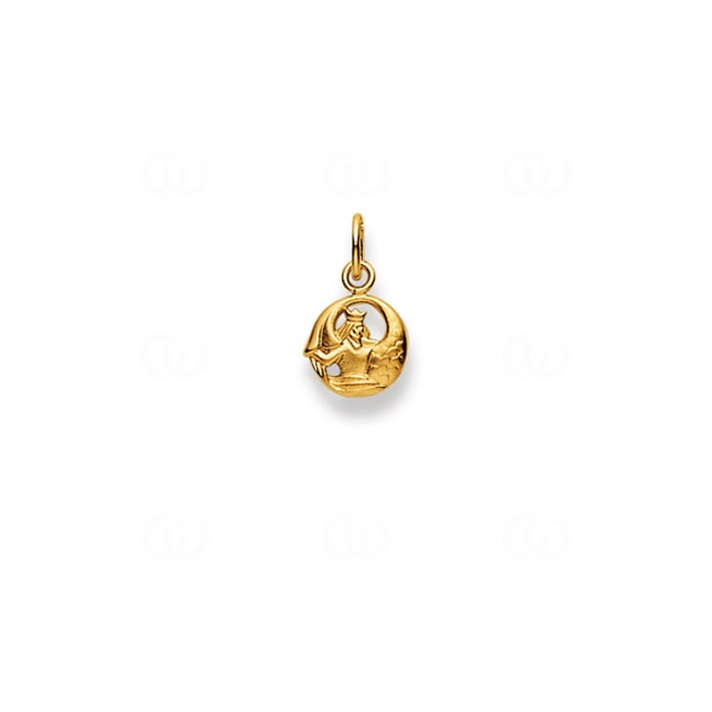 Pendentif or jaune 750/18 ct, Signe du zodiaque Verseau - 1154.06035/0200