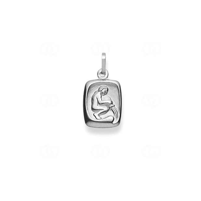 Pendant 750/18 K White Gold, Astrological sign of Aquarius - 1254.06037/0200