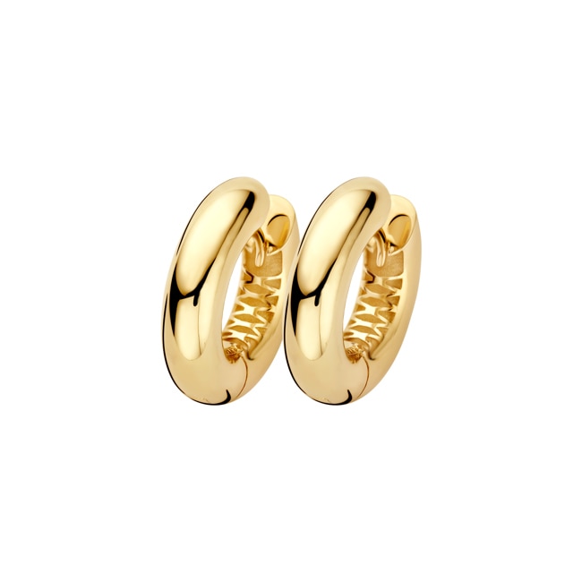 Blush 14ct Gold Charm Hoop Earrings 18.4mm - LG7023Y
