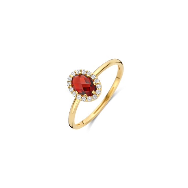Blush Halo Ring 14k Gelbgold mit Mozambique Granat und Zirkonia - 1271YGA