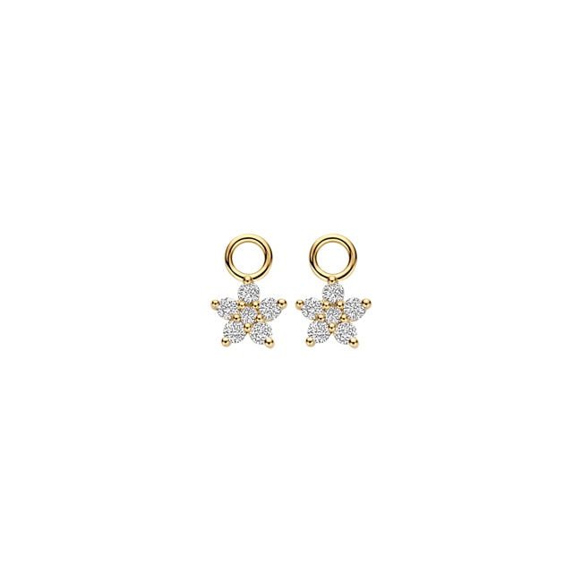 Blush Ohrring-Anhänger 14k Gelbgold Stern mit Labordiamanten 0.25ct - LG9005Y/S