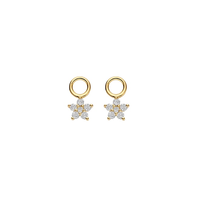 Blush Ohrring-Anhänger 14k Gelbgold Stern mit Labordiamanten 0.25ct - LG9005Y