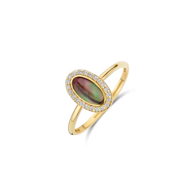Blush 14ct Gold Black Pearl and Zirconia Halo Ring - 1279YBQ