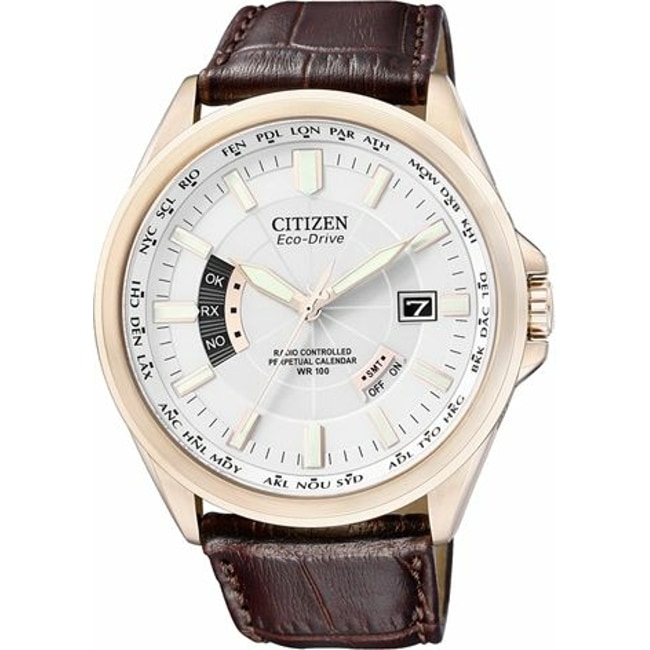 citizen world timer