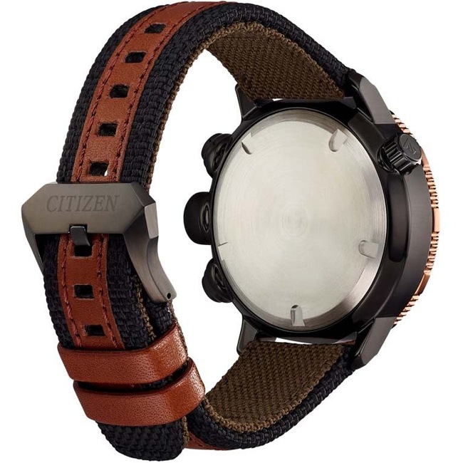 citizen promaster land altichron
