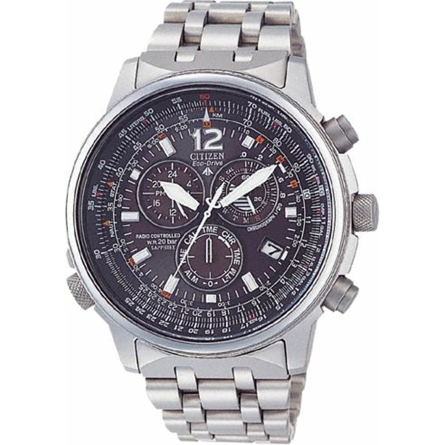 citizen promaster eco drive pilot