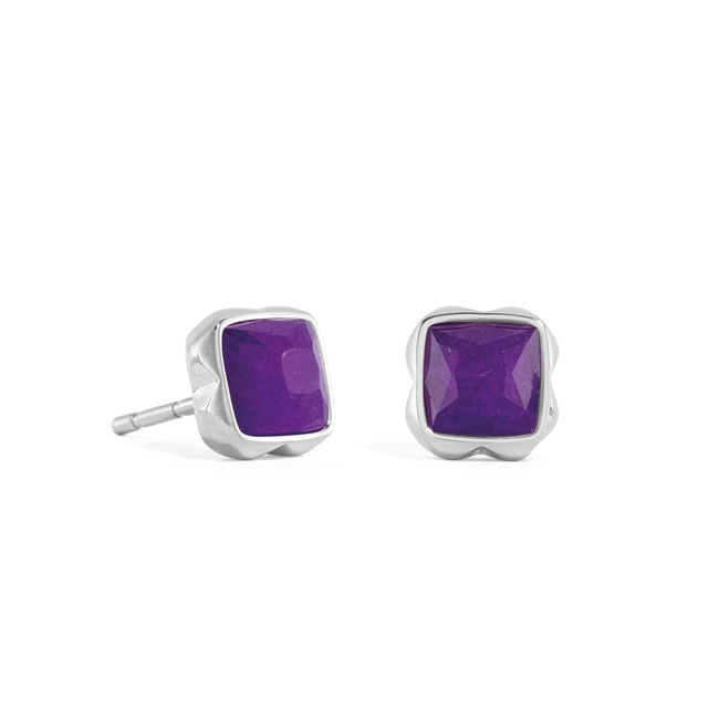 Coeur de Lion Birthstone Février Boucles d'Oreilles Sugilith Argent - 1300/21-0800