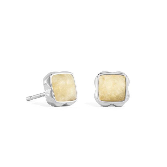 Coeur de Lion Birthstone Novembre Boucles d'Oreilles Citrine Argent - 1300/21-0120