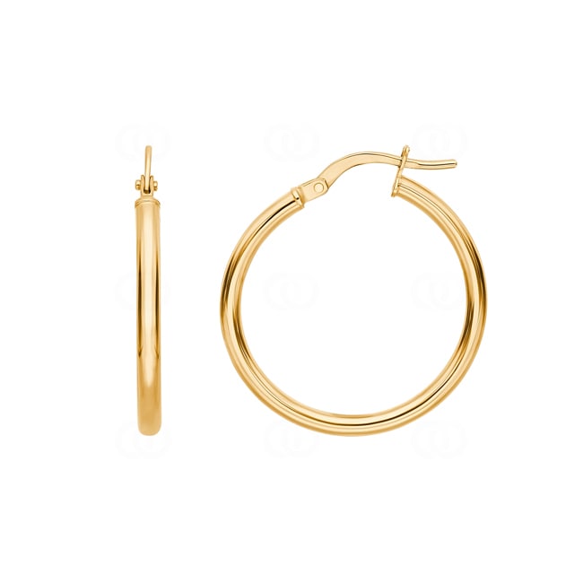 Hoop Earrings 375/9 K Yellow Gold 2.0mm Ø 30mm - 650067.7