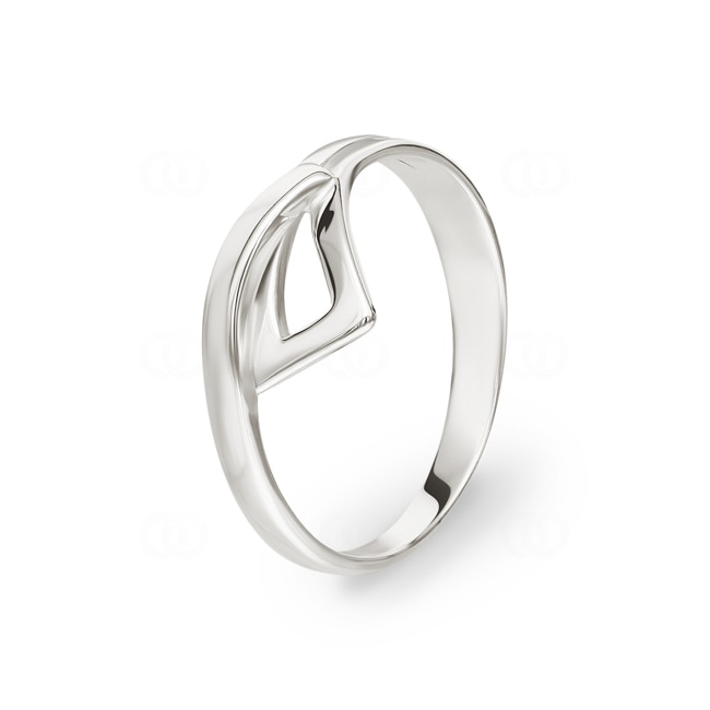 Ring 925 Silver rhodium-plated Fantasy - 317007