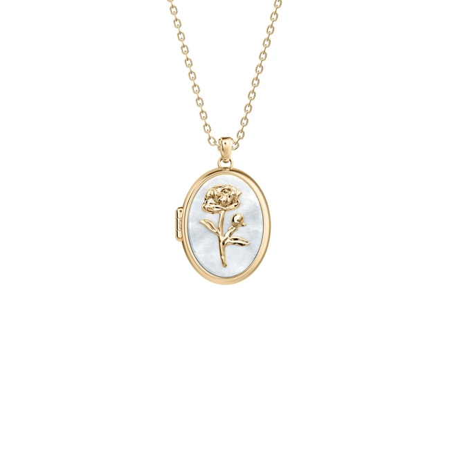 Fossil Sutton The Locket Collection Halskette  - JF04976710