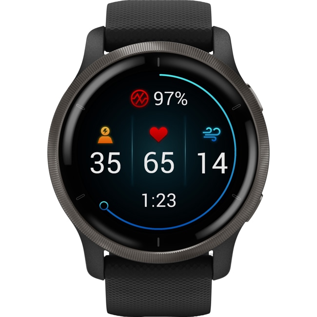 Garmin Venu 2 Smartwatch Noir - 010-02430-11