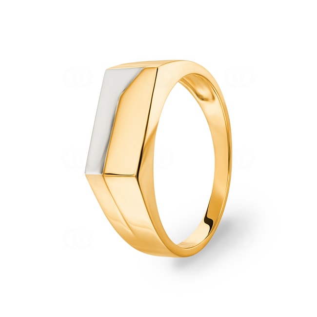 Men's Ring 750/18 K Yellow and White Gold - PR11389