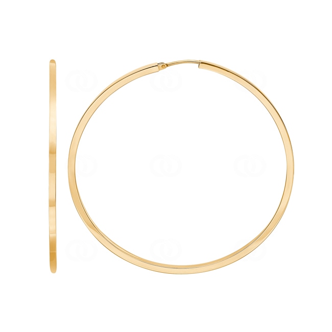 Kreolen 750/18 K Gelbgold 2 x 2mm Ø 45mm - 2693.1