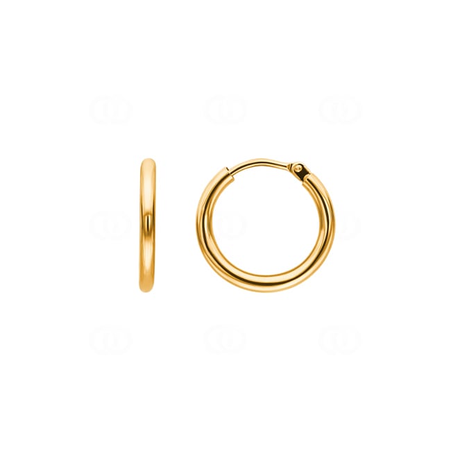 Hoop Earrings 750/18 K Yellow Gold 2mm Ø 16mm - 3065
