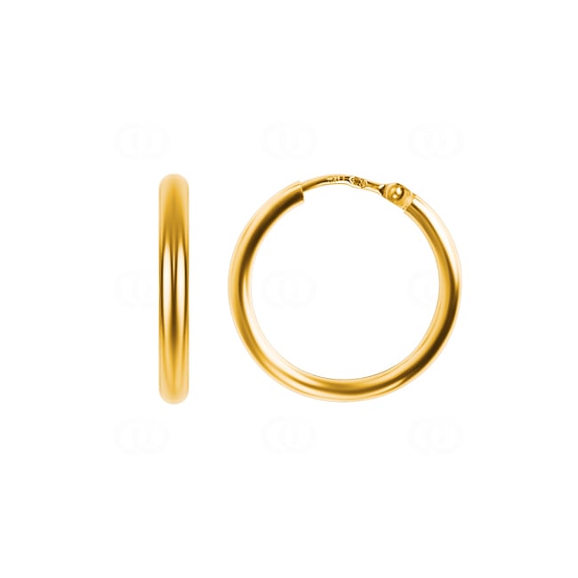 Hoop Earrings 750/18 K Yellow Gold 2mm Ø 20mm - 3090