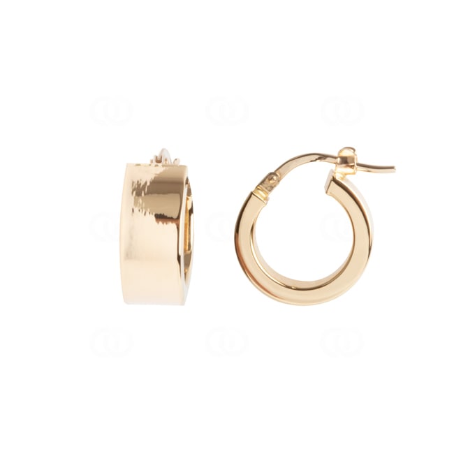 Hoop Earrings 750/18 K Yellow Gold 6 x 2mm Ø 10mm - 2675.3