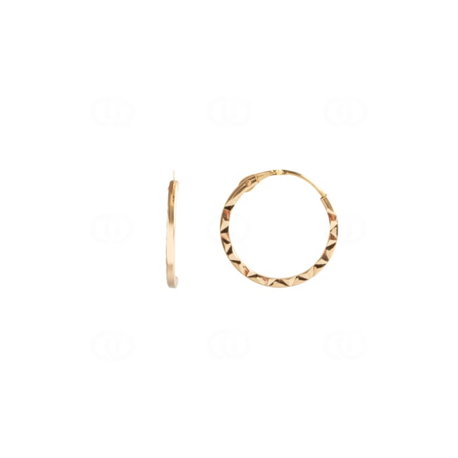 Hoop Earrings 750/18 K Yellow Gold Ø 10mm - 8056