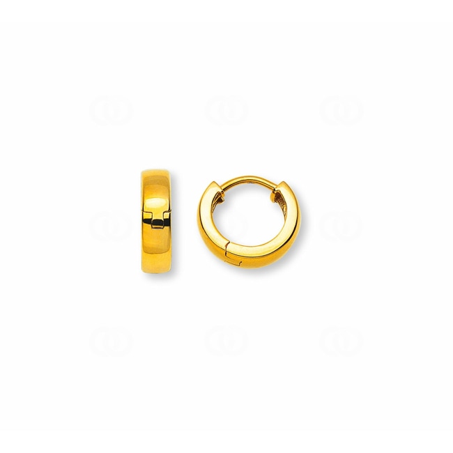 Hoop Earrings 750/18 K Yellow Gold Ø 12.5mm - OGO1044