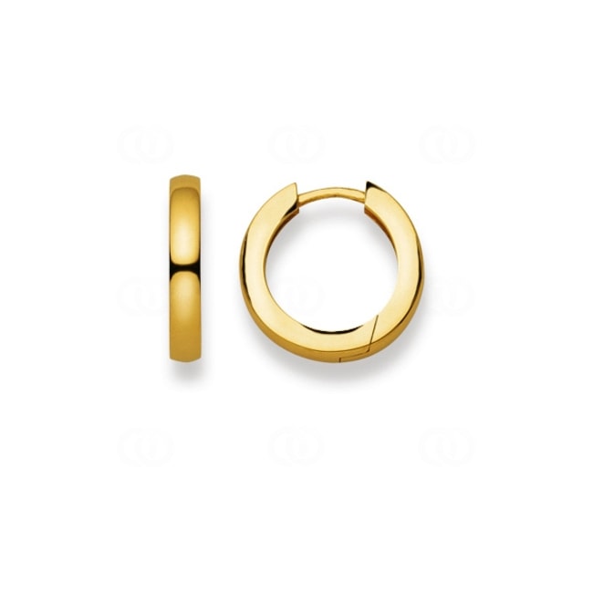 Hoop Earrings 750/18 K Yellow Gold Ø 16mm - 1164.04775/0001