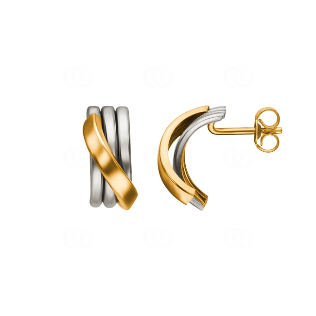 Earrings 750/18 K Yellow and White Gold - 3528.39