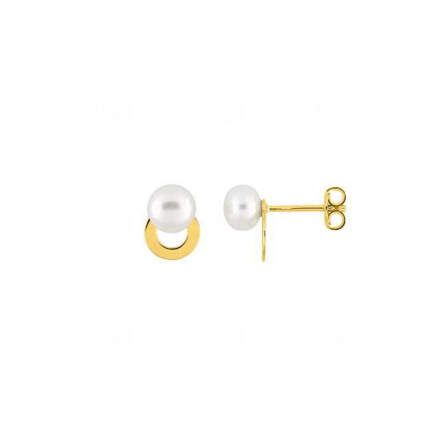Ohrstecker 375/9 K Gelbgold mit Süsswasserzuchtperlen 6.0mm - 297340.P0