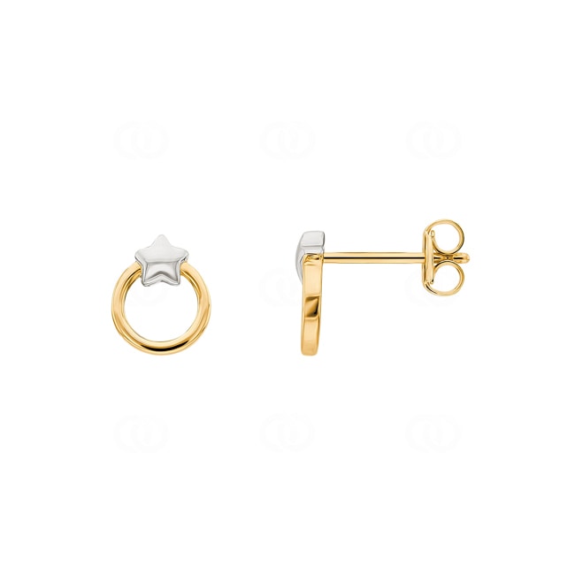 Stud Earrings 750/18 K Yellow and White Gold Star - 195812.6