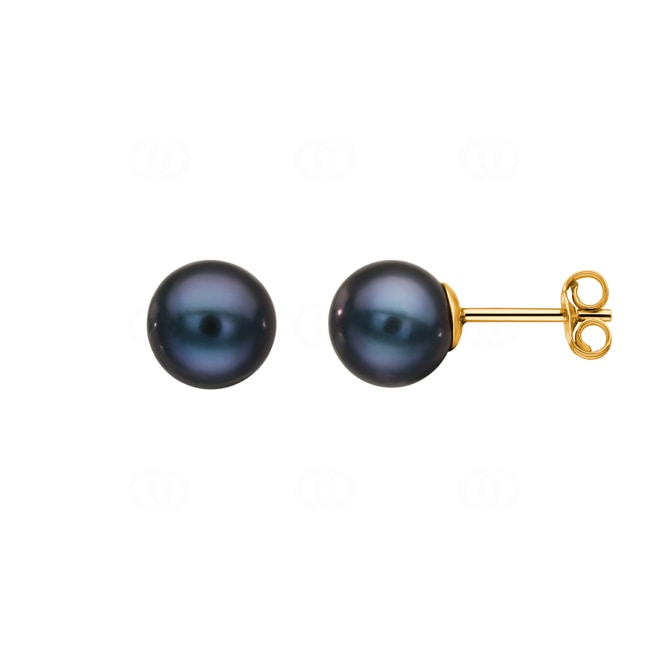 Stud Earrings 750/18 K Yellow Gold with black Freshwater Pearl Ø 7mm - 8375.7P