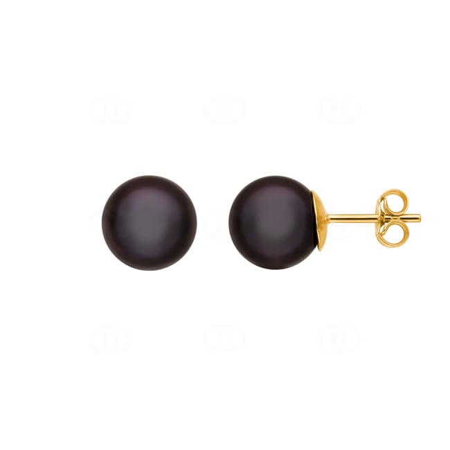 Stud Earrings 750/18 K Yellow Gold with black Freshwater Pearl Ø 8mm - 8375.8P