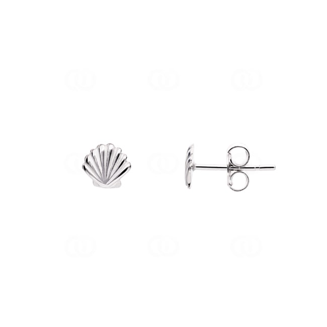 Stud Earrings 925 Silver rhodium-plated Shell - 335259