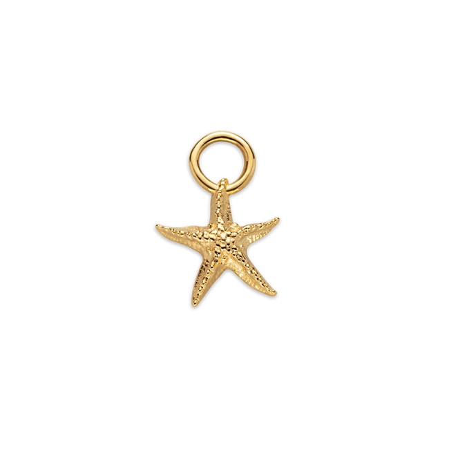 Paul Hewitt Charm Starfish Marinium Ocean Steel Doré - PH-JE-0426
