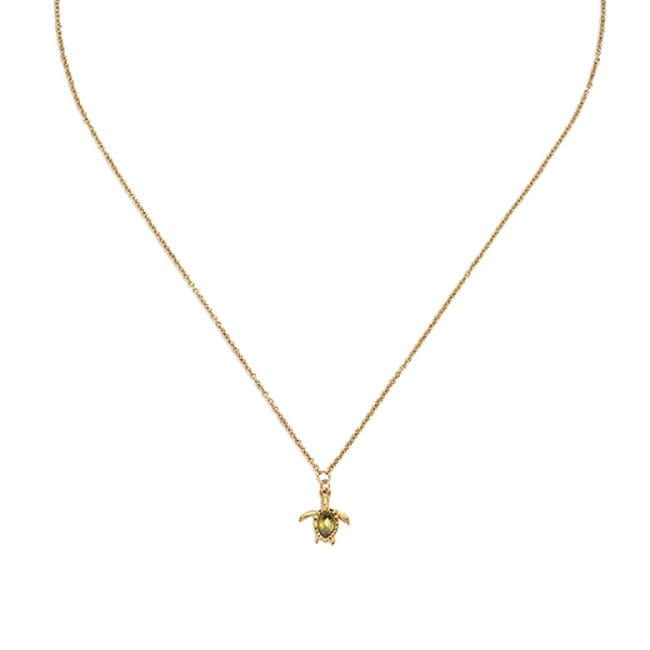 Paul Hewitt Necklace Turtle Marinium Ocean Steel Gold - PH-JE-0659