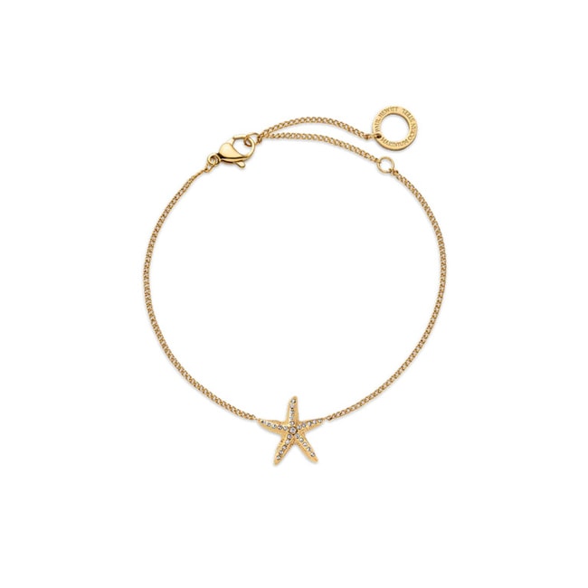 Paul Hewitt Sea Star Armkette Marinium Ocean Steel Goldig - PH-JE-1084