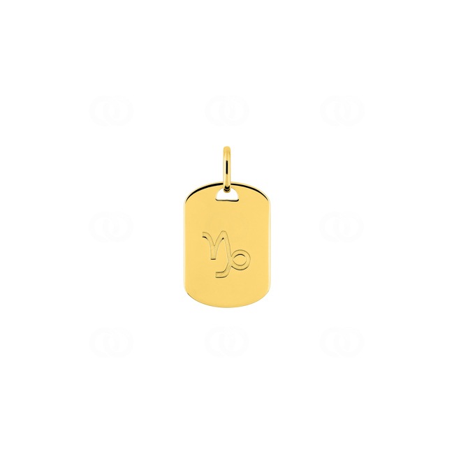Plaquette or jaune 375/9 ct Signe du zodiaque capricorne - 397594.00