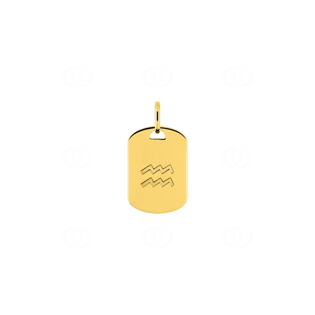 Plaquette or jaune 375/9 ct Signe du zodiaque verseau - 397595.00