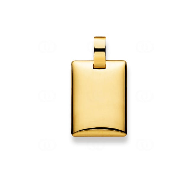 Plaquette or jaune 750/18 ct 20x14mm - 1155.06074/0002