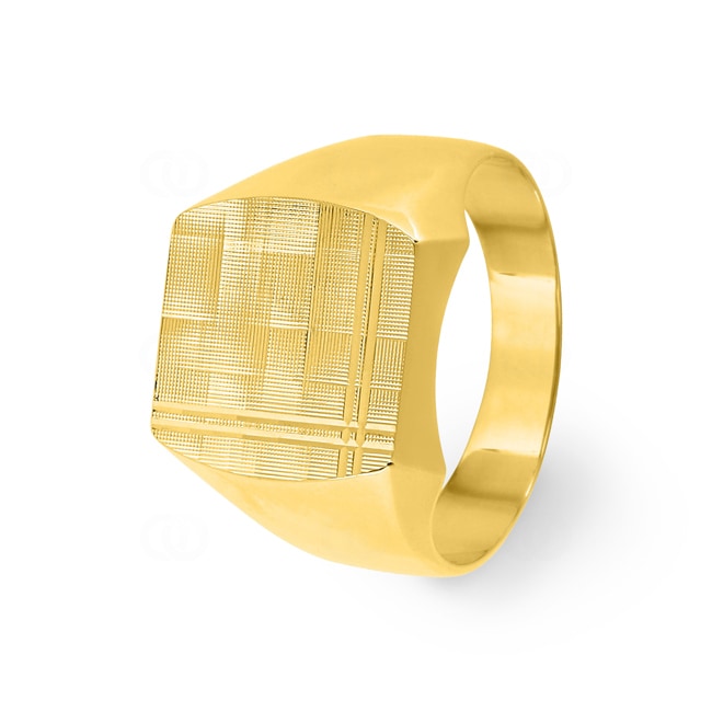 Signet Ring Semi Solid 375/9 K Yellow Gold - 9K5016.5