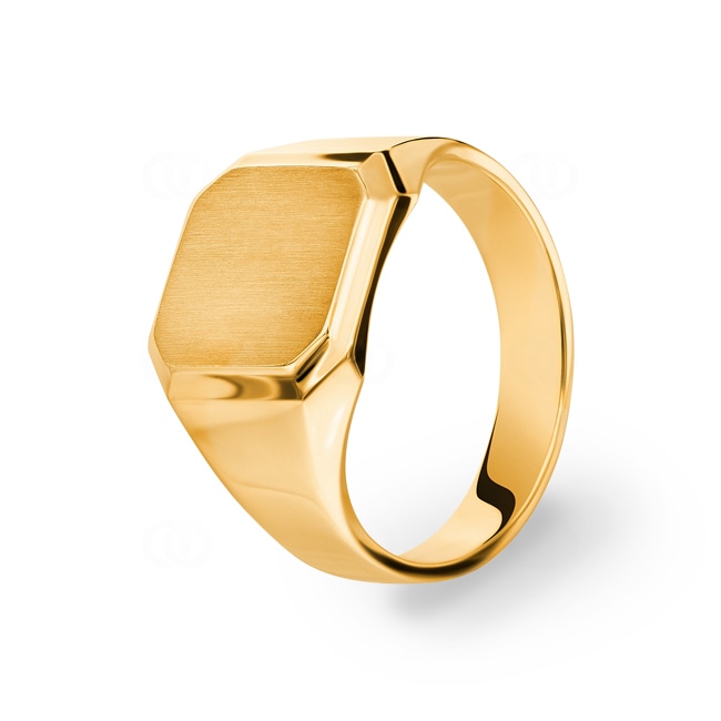 Signet Ring 750/18 K Yellow Gold, 12 x 11mm - PR08755-GG