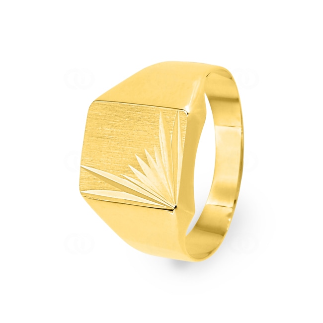 Siegelring 750/18 K Gelbgold hohl - 5002.7