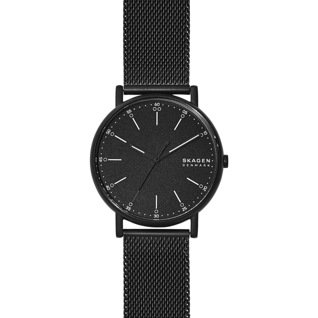 Skagen Signatur Ø 40 - SKW6579