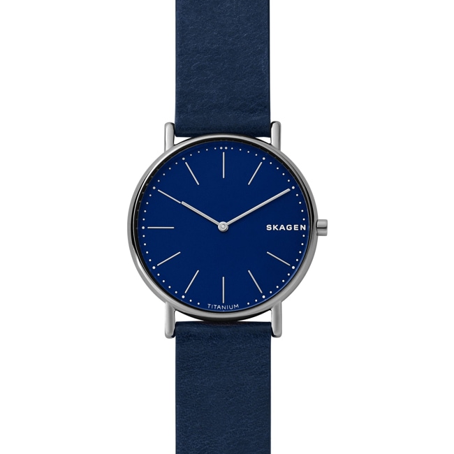 Skagen Signatur Titanium - SKW6481